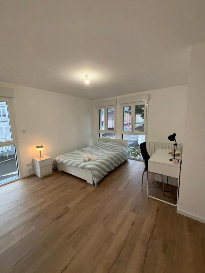 Appartement + Parking + Terrasse Mulhouse Exterior photo